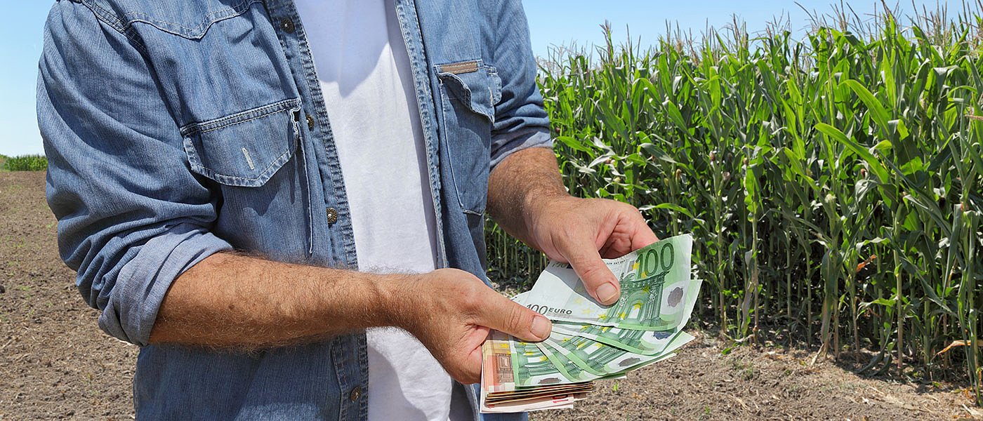 Έρχεται πακέτο στήριξης σε θερμοκήπια, οπωροκηπευτικά και κτηνοτροφία