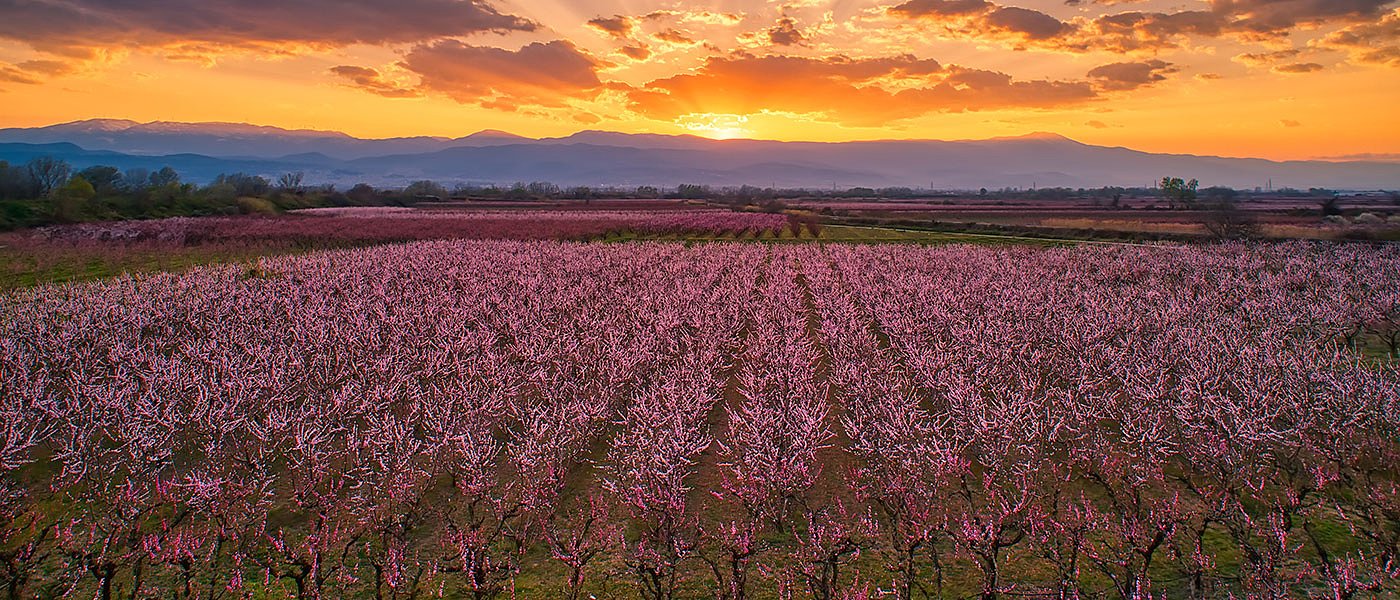 Το νέο πλαίσιο και οι ενισχύσεις για Κομφούζιο και άλλες 12 φιλοπεριβαλλοντικές δράσεις