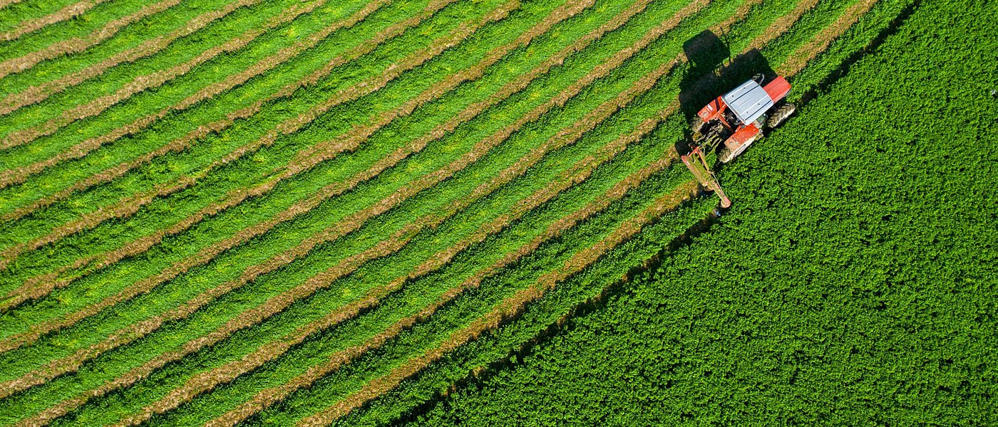 Ξεκίνησε το τρίτο χέρι μηδικής, έχουμε αυξημένη παραγωγή, που κυμαίνονται οι τιμές