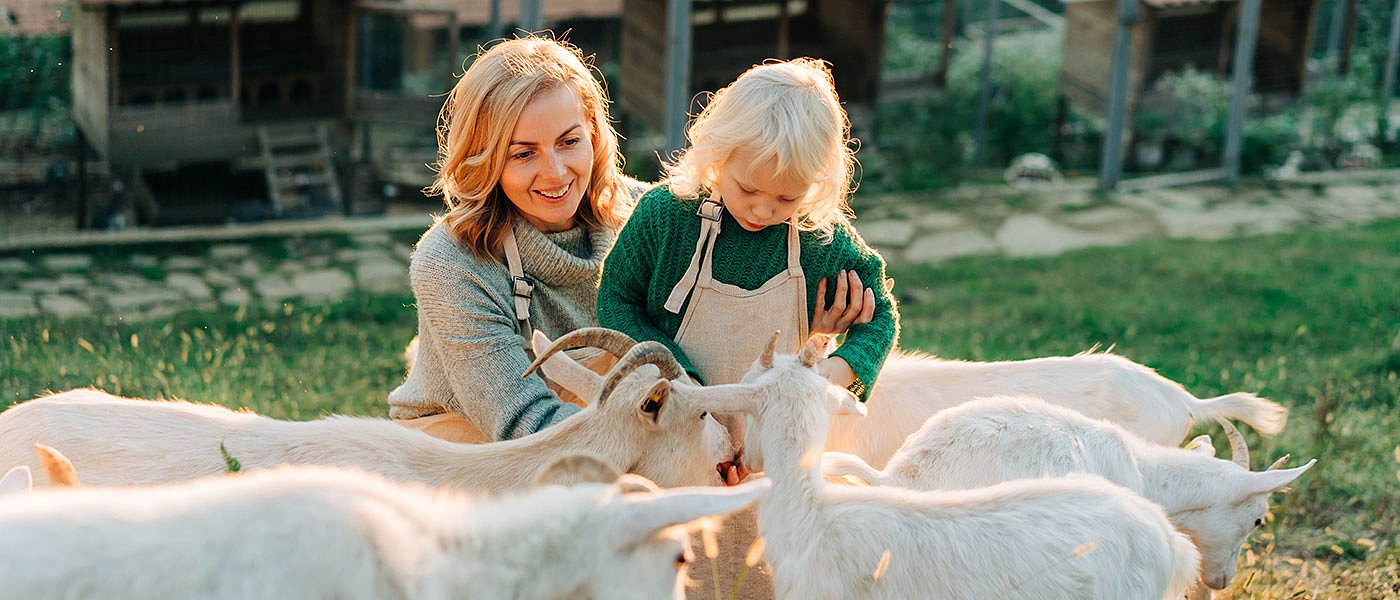 Ρουμανία και Βουλγαρία με κονδύλια ΕΕ έκαναν βίλες τα αγροτουριστικά καταλύματα