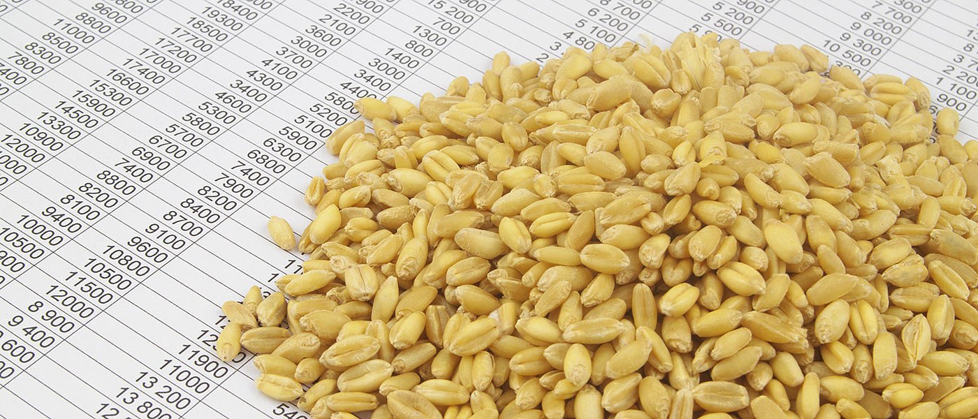 Διαγωνισμός Ορεστιάδας για το σκληρό σιτάρι και ποιότητα κρίνουν τις τιμές