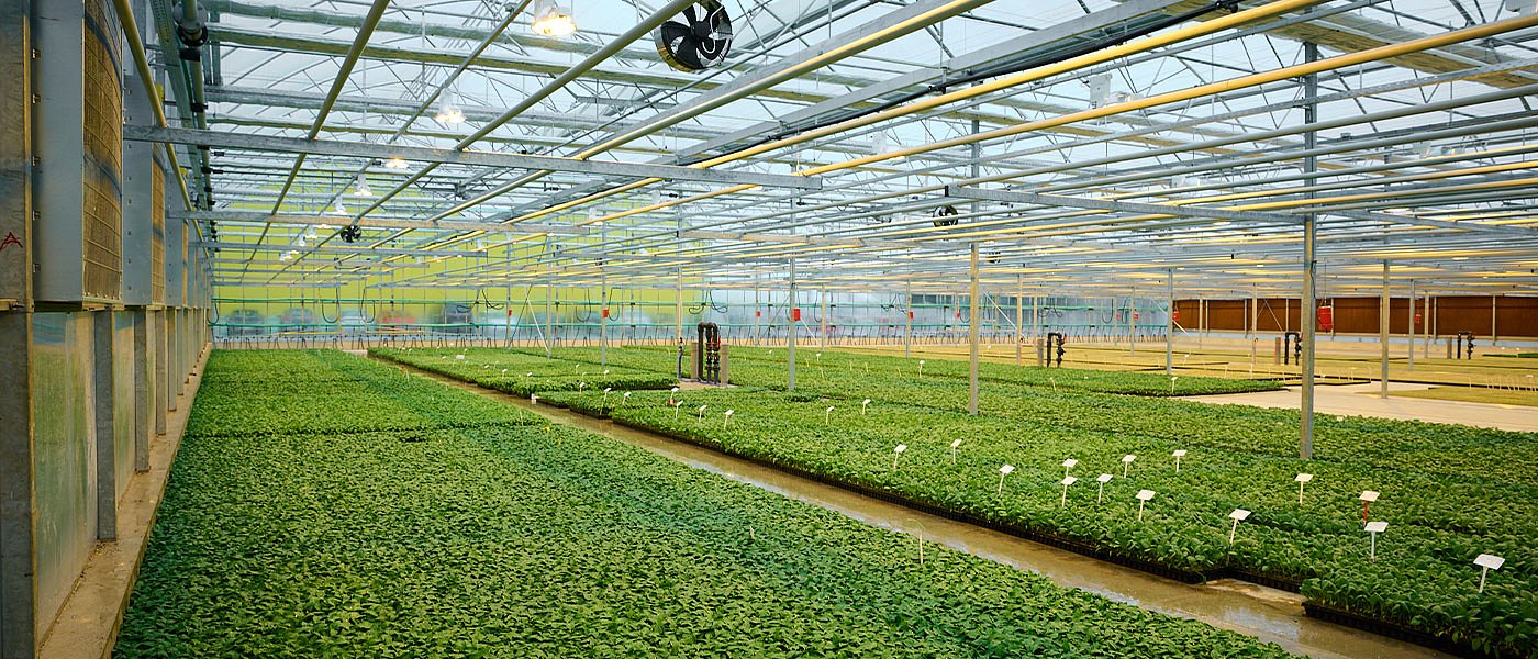 Ολοκληρώθηκε η νέα μονάδα υδροπονίας της AGRIS – Η πιο σύγχρονη στη ΝΑ Ευρώπη