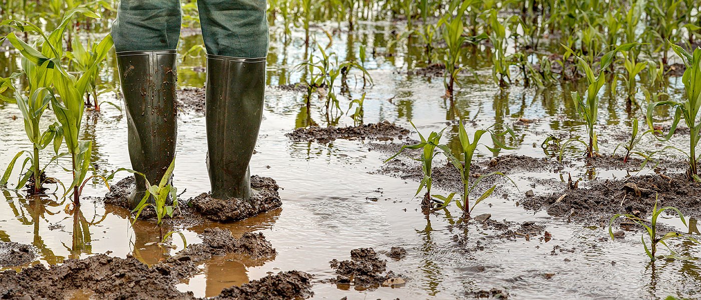 Νέα παράταση στις εισφορές ΕΛΓΑ αποφάσισε η διοίκηση του Οργανισμού