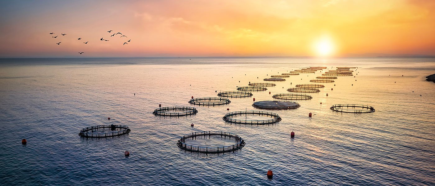 Απάτη ξεσκέπασε η Ευρωπαϊκή Εισαγγελία με κονδύλια 4 εκατ. ευρώ στην υδατοκαλλιέργεια