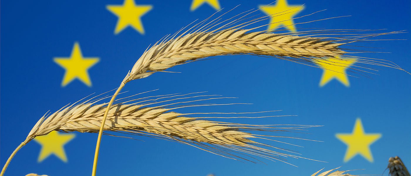 Σιτηρά: εκτίμηση για μείωση της παραγωγής σιταριού στην ΕΕ