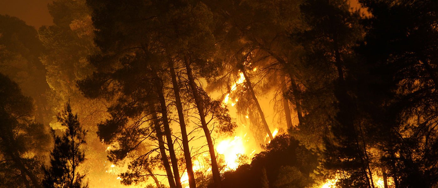 Τραγικές οι επιπτώσεις της φωτιάς σε Εύβοια, Ηλεία, Αττική - πλήγμα στα βοσκοτόπια