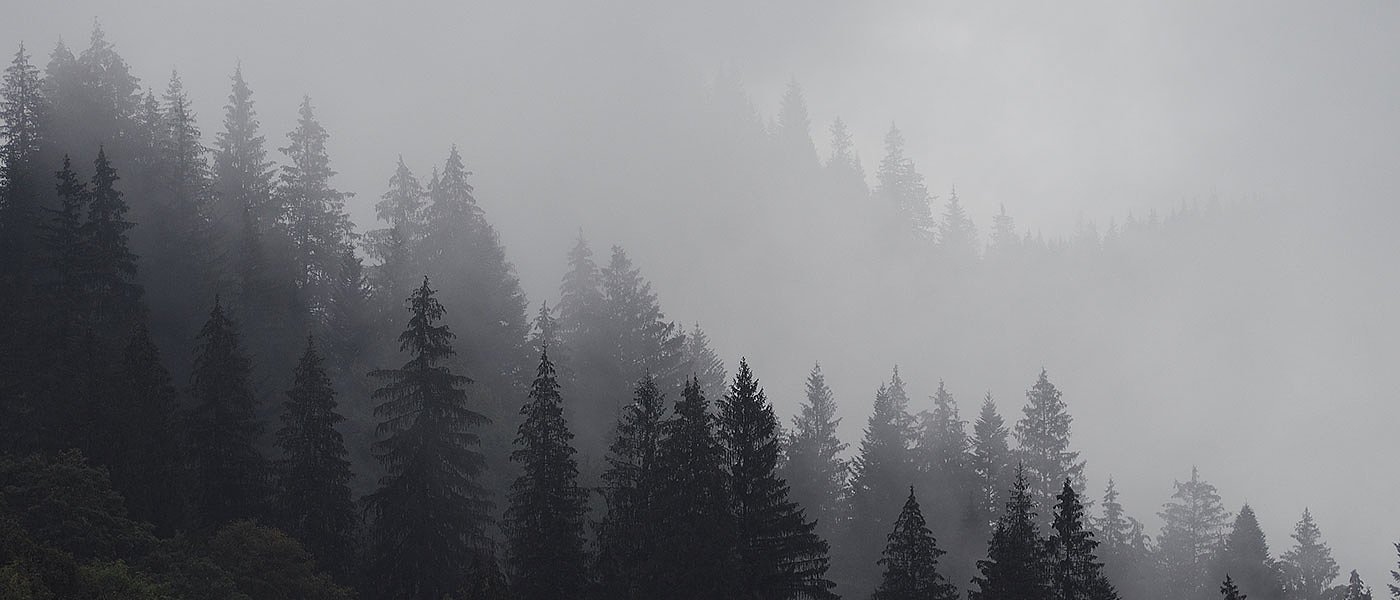 Δασικοί χάρτες, ιδιοκτησιακό και κτηματολόγιο