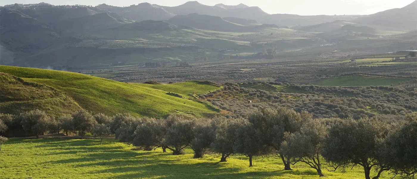 Ρυθμίσεις ΥΠΕΝ για δασωμένους αγρούς και εκχερσωμένα λόγω ΣτΕ, εκτός δασικών ο ασπάλαθος