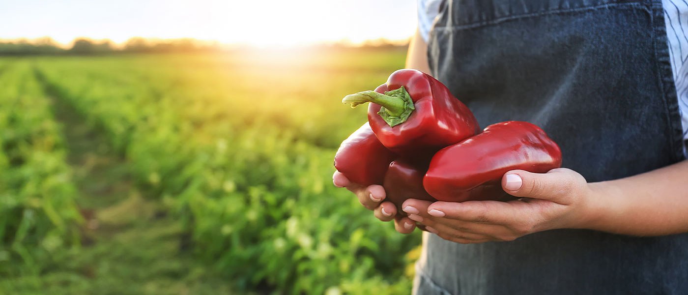 Επικίνδυνα φρούτα και λαχανικά εισάγονται στην ΕΕ από την Τουρκία