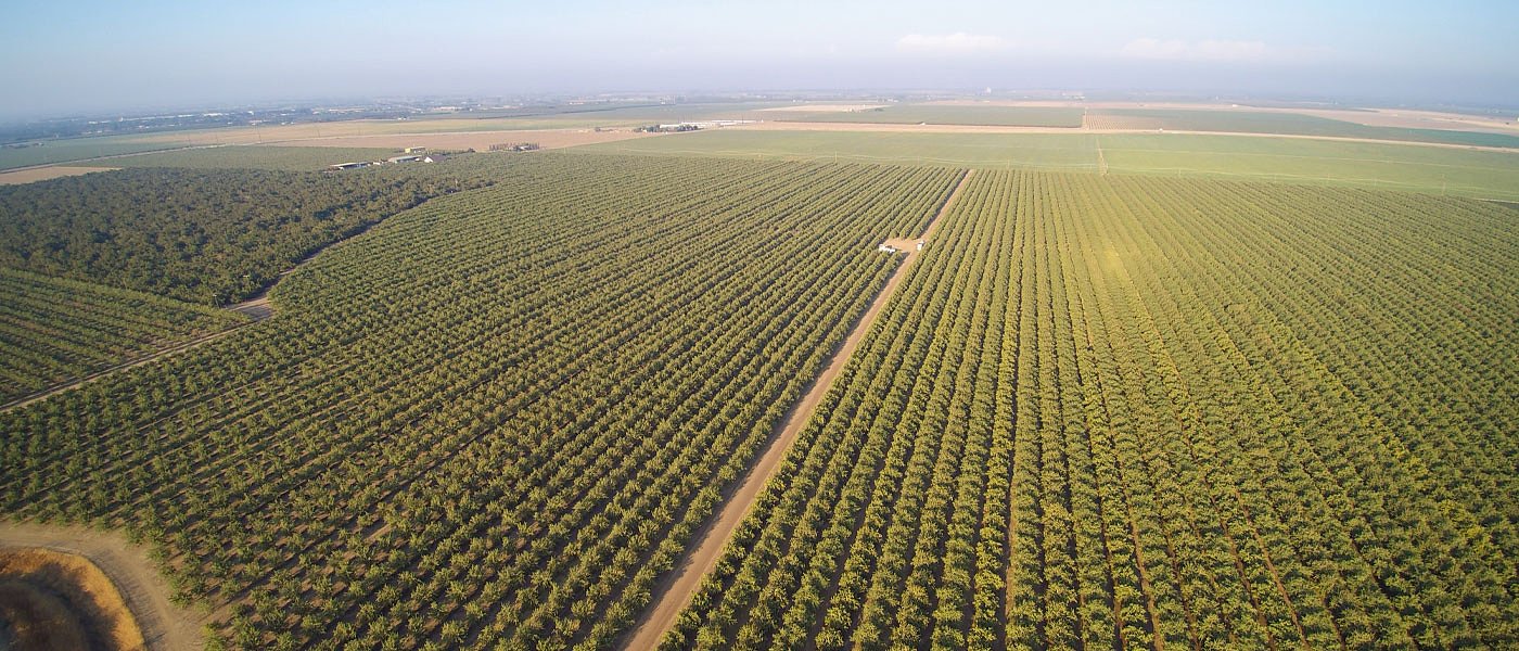 Πληρωμές ενιαίας 2020: Χάος και με τα δασικά αποκαλύπτει η εξατομίκευση