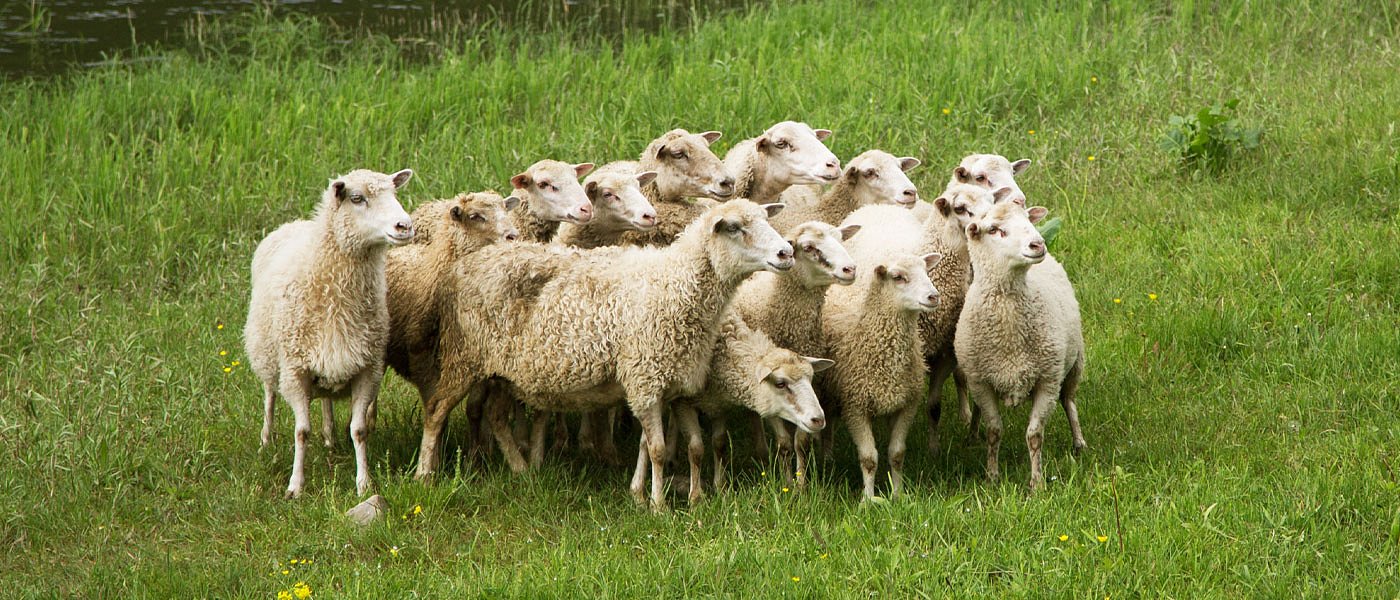 Επιβεβαίωση ΑγροΤύπου για προβλήματα στην εξισωτική, τέλος οι ενστάσεις μέχρι νεοτέρας 