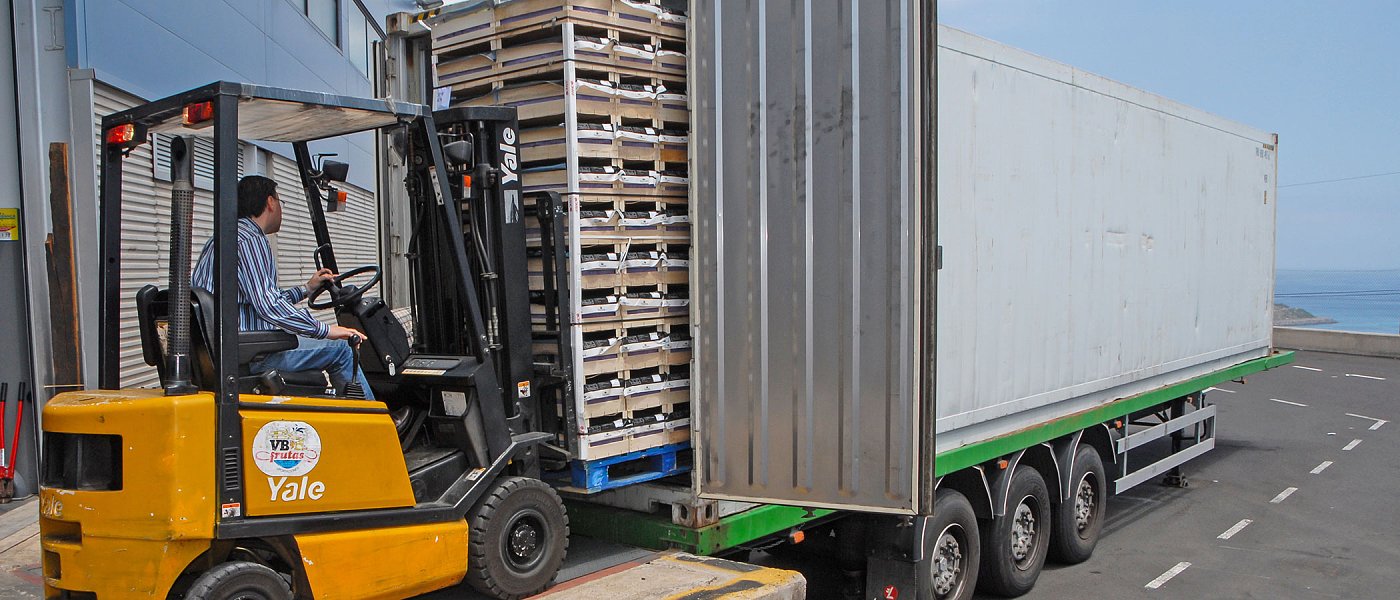 Φρούτα και Λαχανικά: Διπλασιάστηκαν οι εισαγωγές σε μια 10ετία, ποσότητες και χώρες που εισάγαμε το 7μηνο 2025