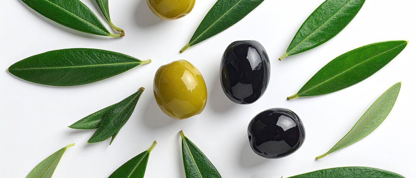 Προβλέψεις για παραγωγή ελιών Χαλκιδικής, Αμφίσσης και Καλαμών, τι δήλωσε ο πρόεδρος της ΔΟΕΠΕΛ στον ΑγροΤύπο