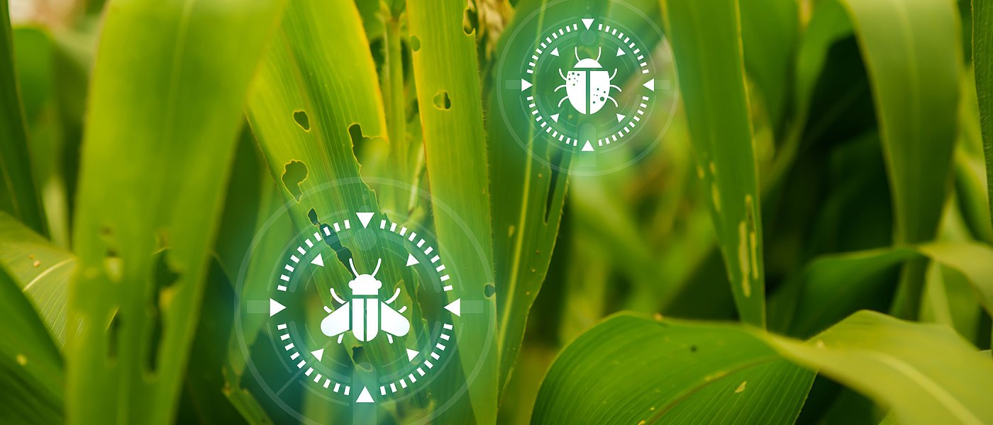 Ολοκληρώθηκε το 20ό Πανελλήνιο Εντομολογικό Συνέδριο στη Μυτιλήνη