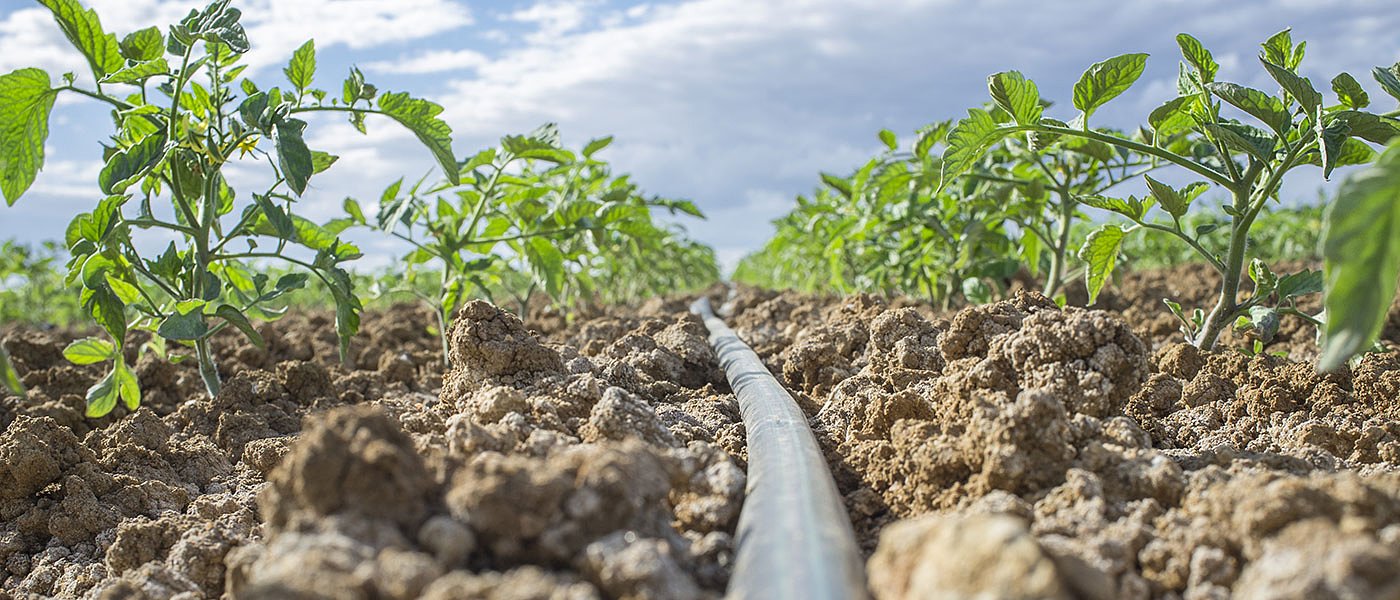 Ξηρασία απειλεί τις σοδειές σε πολλές χώρες της Ευρώπης, μεγάλο πρόβλημα στην Ιβηρική