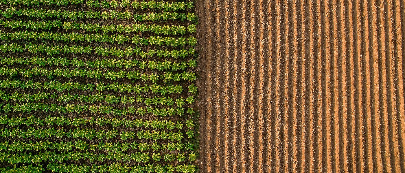 Στις 158.000 οι οριστικές δηλώσεις ΟΣΔΕ, ποινές στα δικαιώματα από Ιούλιο