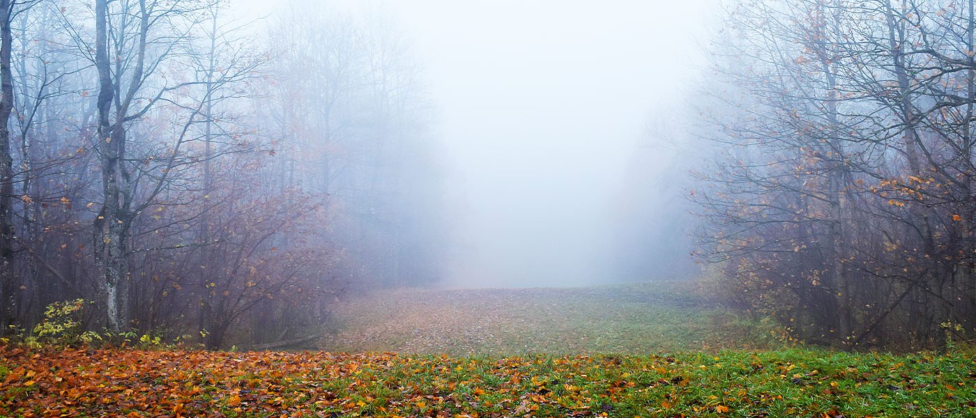 Οι θερμοκρασιακές μεταπτώσεις και οι επιπτώσεις στις καλλιέργειες