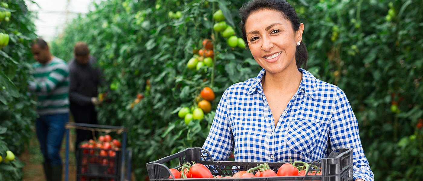 37,07 ευρώ το μικτό μεροκάματο εργάτη γης, προσοχή μην έχει δηλωθεί σε άλλο εργοδότη