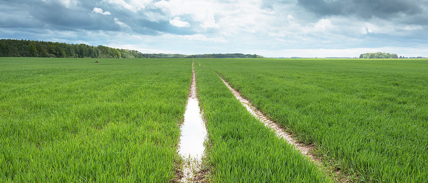 Βροχές του Μαΐου ... πνίγουν τριφύλλια, κριθάρια, βαμβάκια, φασόλια και άλλες αροτραίες