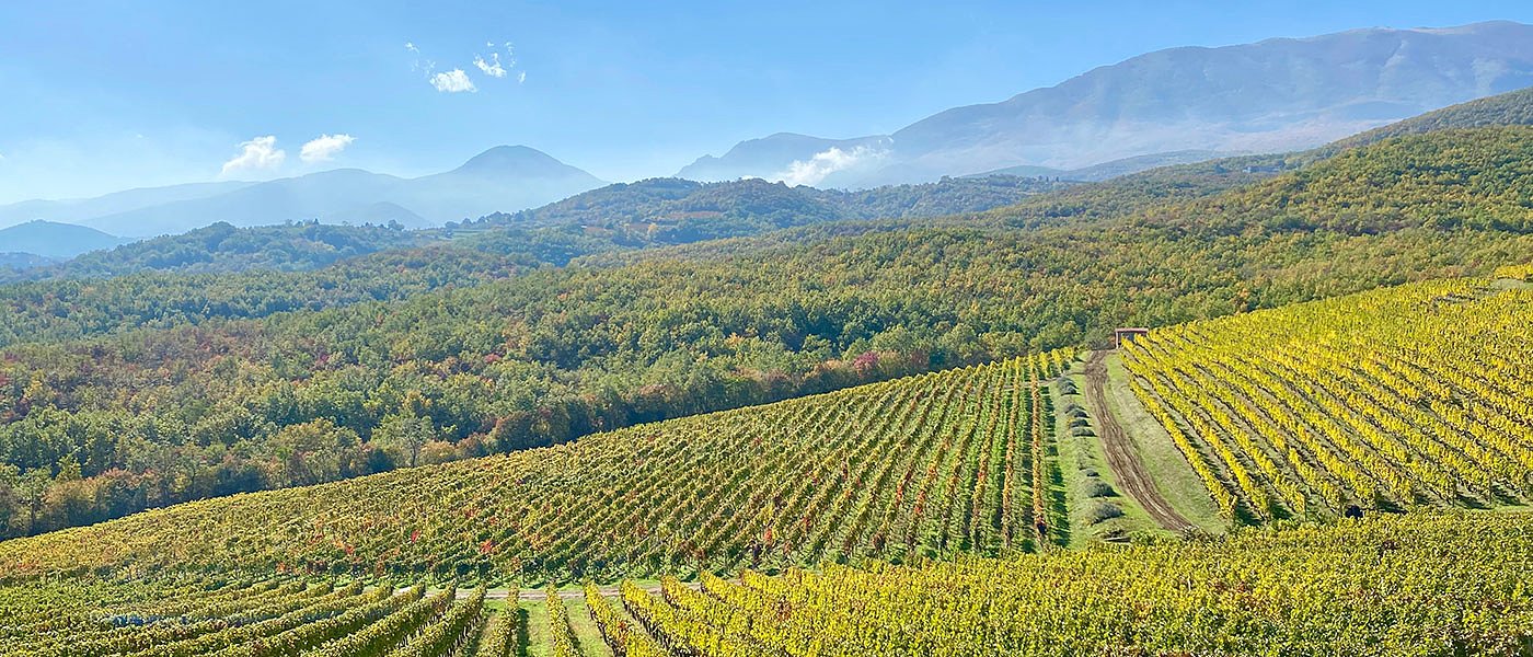 Ξινόμαυρο: Καλές τιμές στο Αμύνταιο, στα περσινά επίπεδα και πτωτικά στη Νάουσα