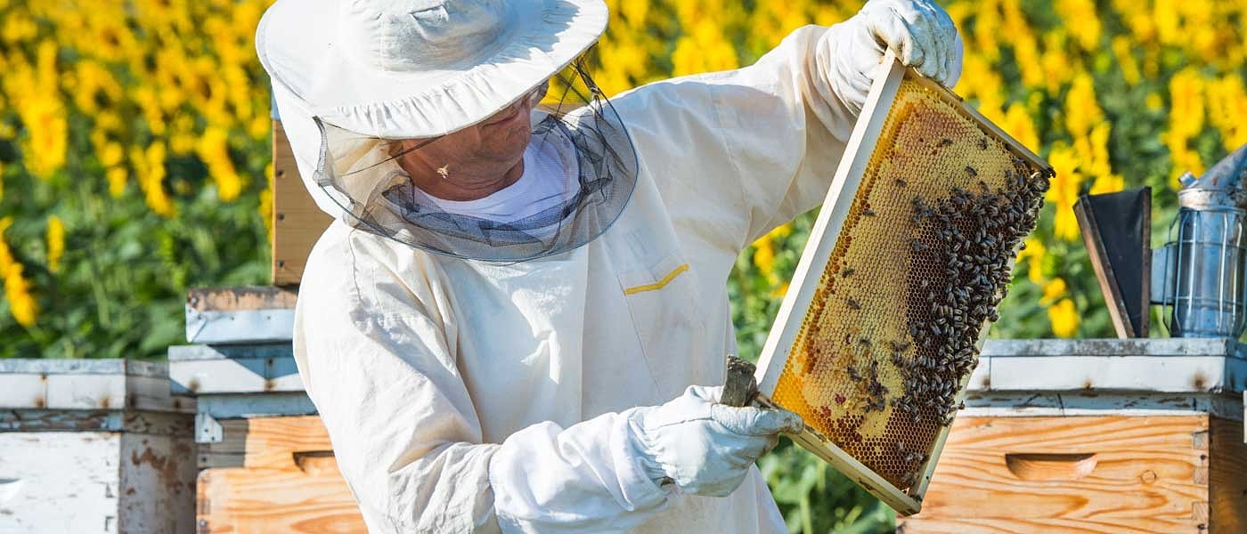Συζήτηση για μετακίνηση μελισσοκόμων το καλοκαίρι, με πυροσβεστήρα στις κυψέλες