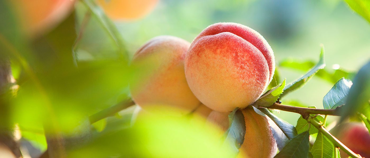  Ανακοινώθηκαν τα αποτελέσματα του ΚΟΜΦΟΥΖΙΟ και ακολουθεί πληρωμή