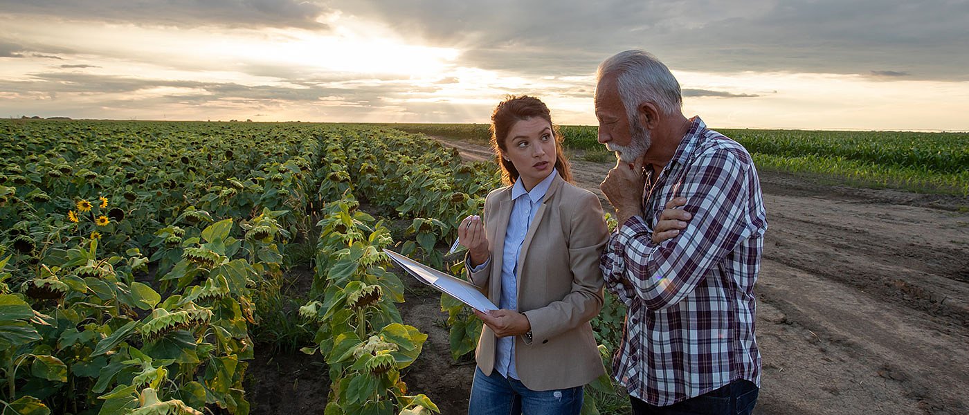 Με 41 λεπτά οι πρώτες συμβάσεις στον ηλίανθο, έχει δυναμική για παραπάνω το προϊόν