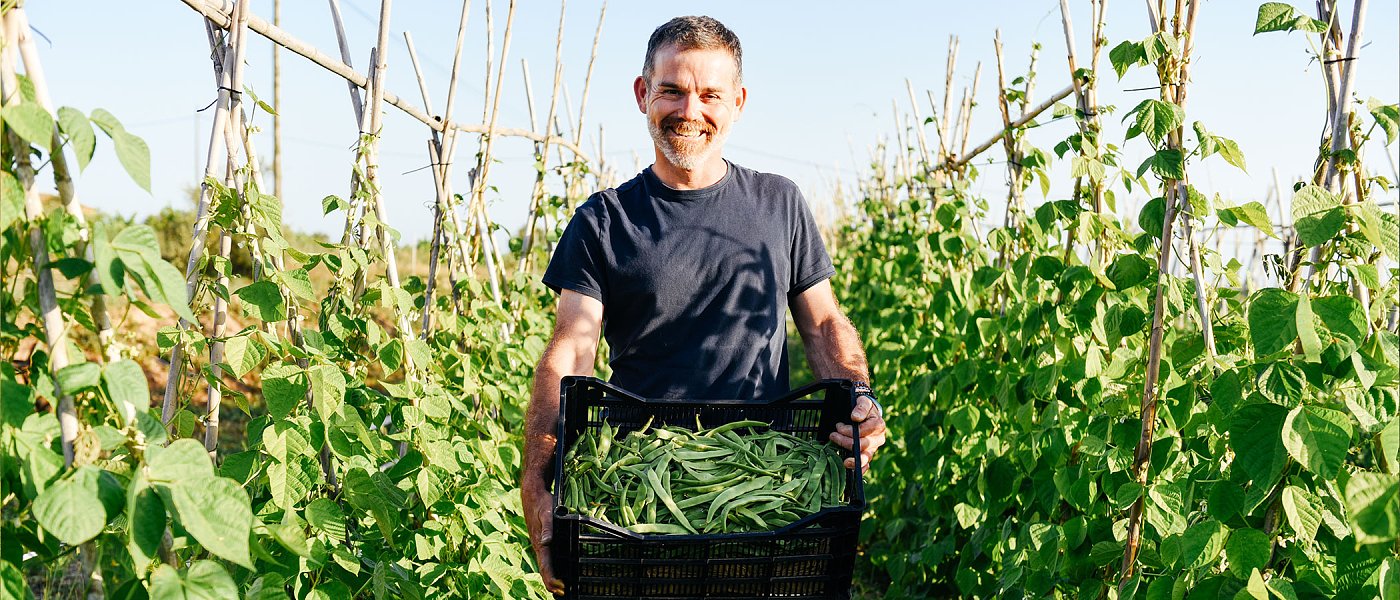 Εργάτες γης με ημερομίσθιο 39 ευρώ και επιδότηση ασφαλιστικών εισφορών, ποιοι είναι οι όροι του προγράμματος