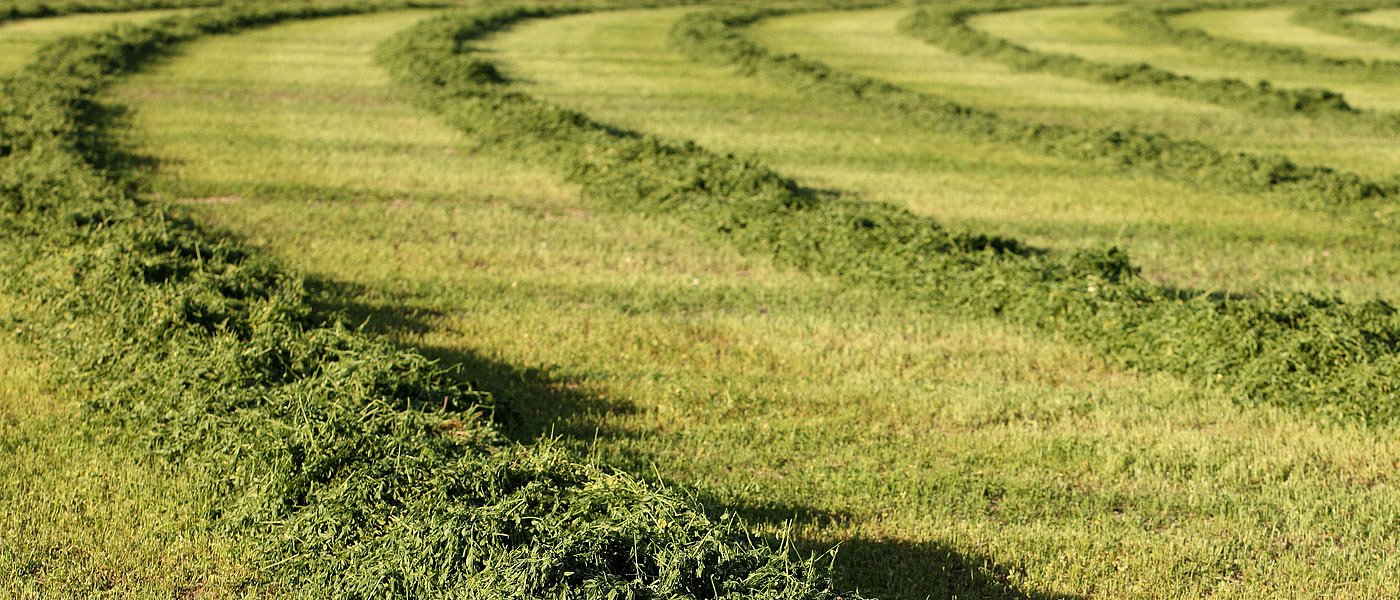 Δεν παίζει για διετή παράταση στα Βιολογικά