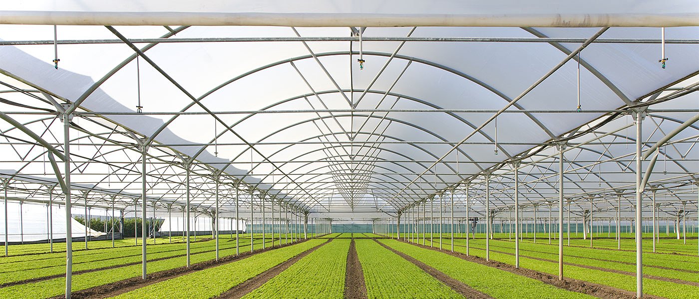 Πρόβληματα στην λειτουργία των θερμοκηπίων λόγω αδειοδότησης