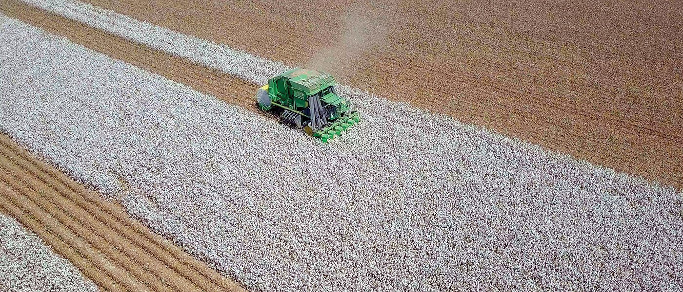 Επίσημη παραδοχή ΥπΑΑΤ στο Μέτρο 23 είναι το βαμβάκι, ποιοι είναι οι στόχοι της νέας ΚΑΠ