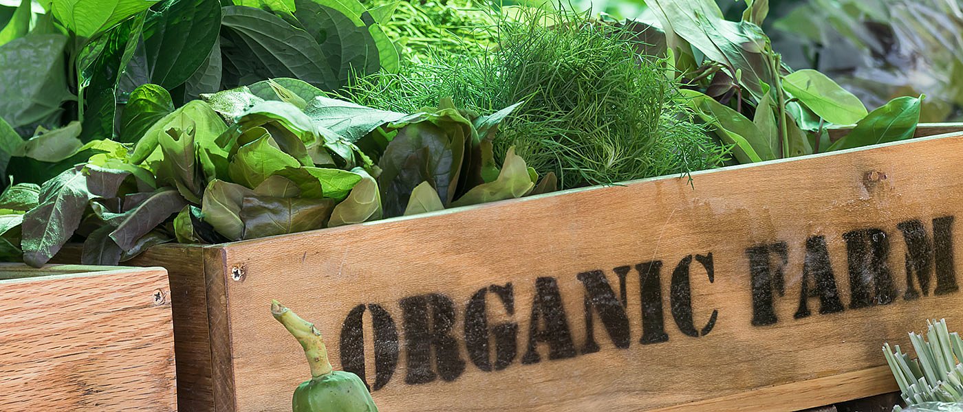 Εγκύκλιος υποβολής των παραστατικών για το πρόγραμμα βιολογικής γεωργίας