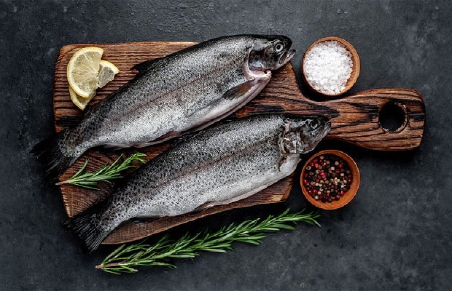 Fish breeding trout: There is demand for export but there are no investments