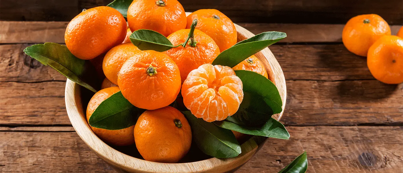 Φρένο στις κοπές Κλημεντίνης βάζουν οι Θεσπρωτοί, αν πέσει η τιμή κάτω από 35 λεπτά