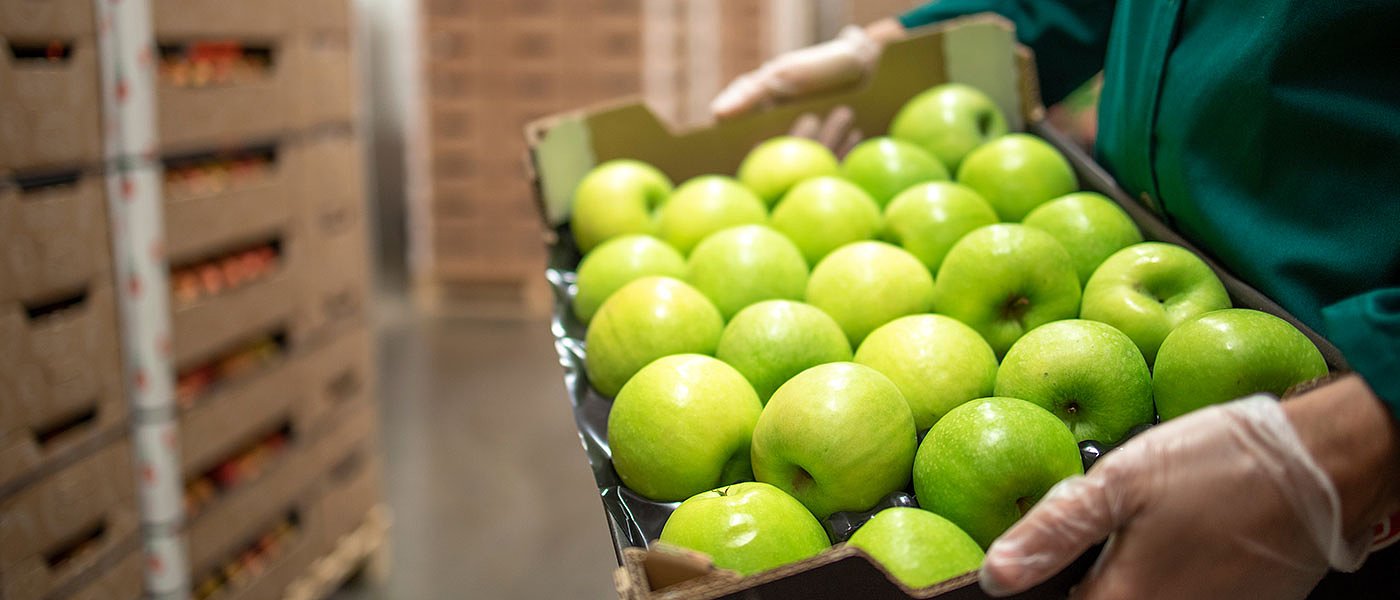 Οι παραγωγοί περιμένουν ακόμη την πληρωμή του προγράμματος ad hoc στα μήλα