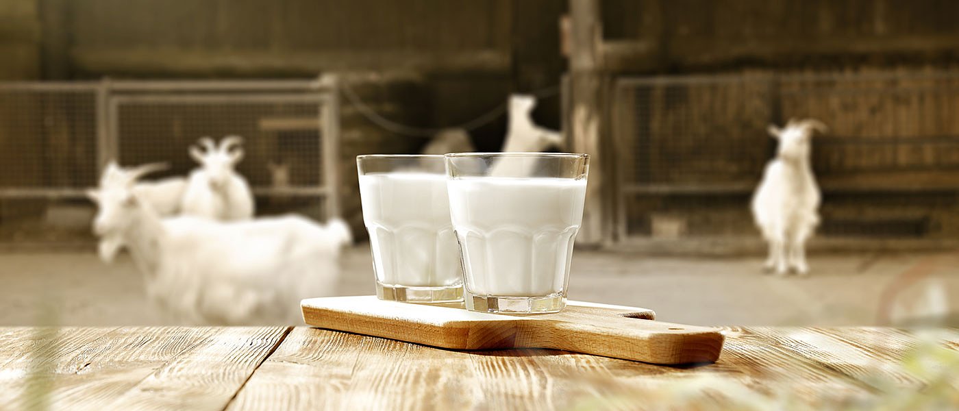 Πολλοί δεν θα πληρωθούν προκαταβολή βασικής ενίσχυσης, πως θα καθορίζεται η επιλεξιμότητα του ζώου