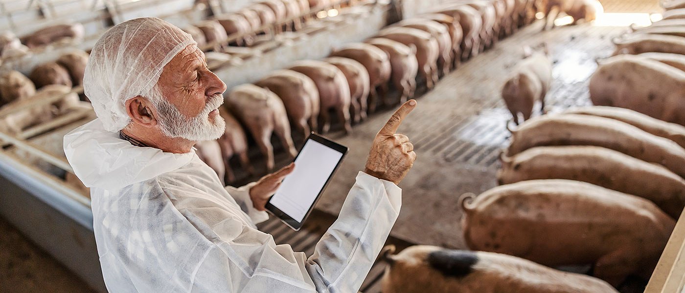 Η τελική λίστα χοιροτρόφων που εντάχθηκαν στην καλή μεταχείριση των ζώων και τα ποσά της ενίσχυσης που θα  λάβουν