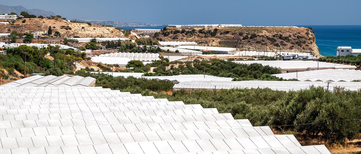 Τι σημαίνει η υψηλή αγωγιμότητα για τα φυτά του θερμοκηπίου και πώς προσαρμοζόμαστε.