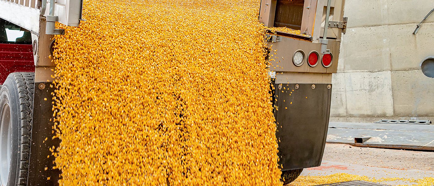 Οι τιμές που αγόρασε σε διαγωνισμό η Τουρκία 280 χιλιάδες τόνους καλαμποκιού, πόσο έφτασε το ουκρανικό λόγω πολέμου