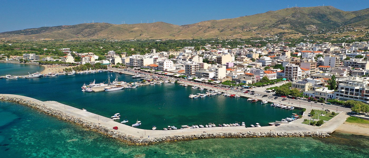 Θεόδωρος Μίζας, κτηνοτρόφος από Κάρυστο, μιλά για προβλήματα εκτροφής και πόσο πουλάει το βιολογικό του γάλα