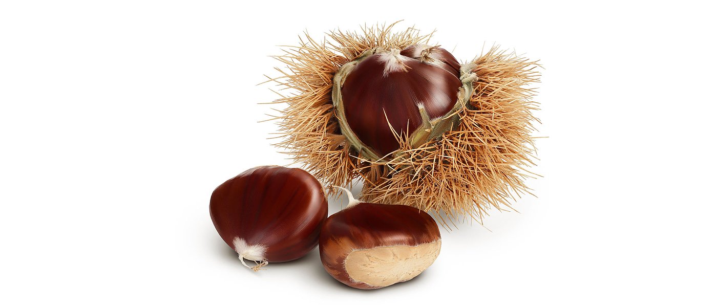 Προβλέψεις για φετινή παραγωγή κάστανου στην Ιταλία και πως διαμορφώθηκαν οι τιμές παραγωγού