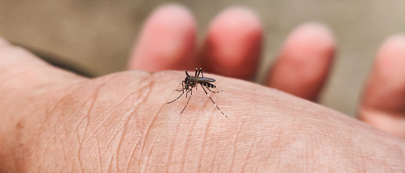 Η Ελλάδα στην αντεπίθεση κατά των κουνουπιών