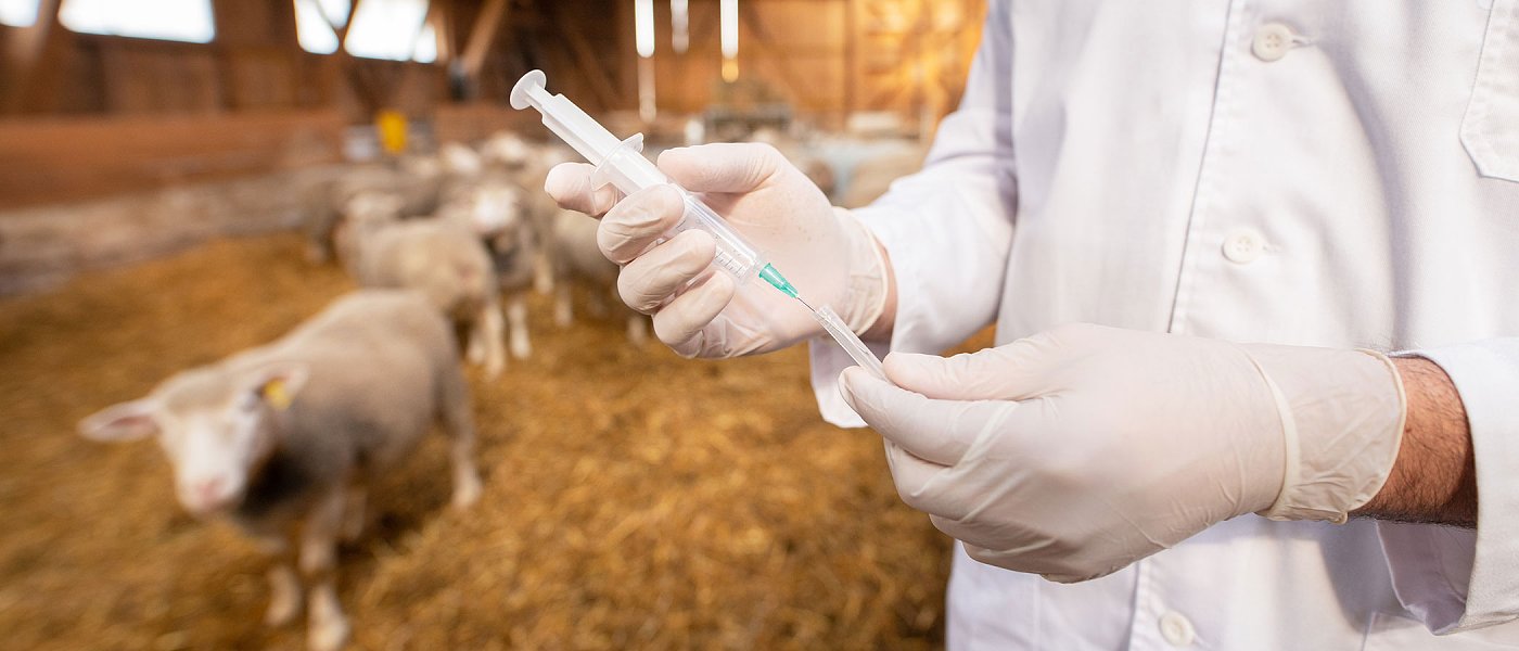 Κέλλας από Έβρο: Αναβάθμιση Κέντρου Εξωτικών Νοσημάτων και παρεμβάσεις για διασφάλιση αρδευτικού νερού