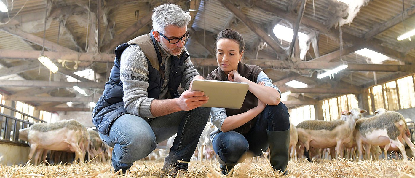 Επιτροπή για να σταματήσει η εξάπλωση της ευλογιάς, αποφασίστηκε σε συνάντηση κτηνοτρόφων με Τσιάρα