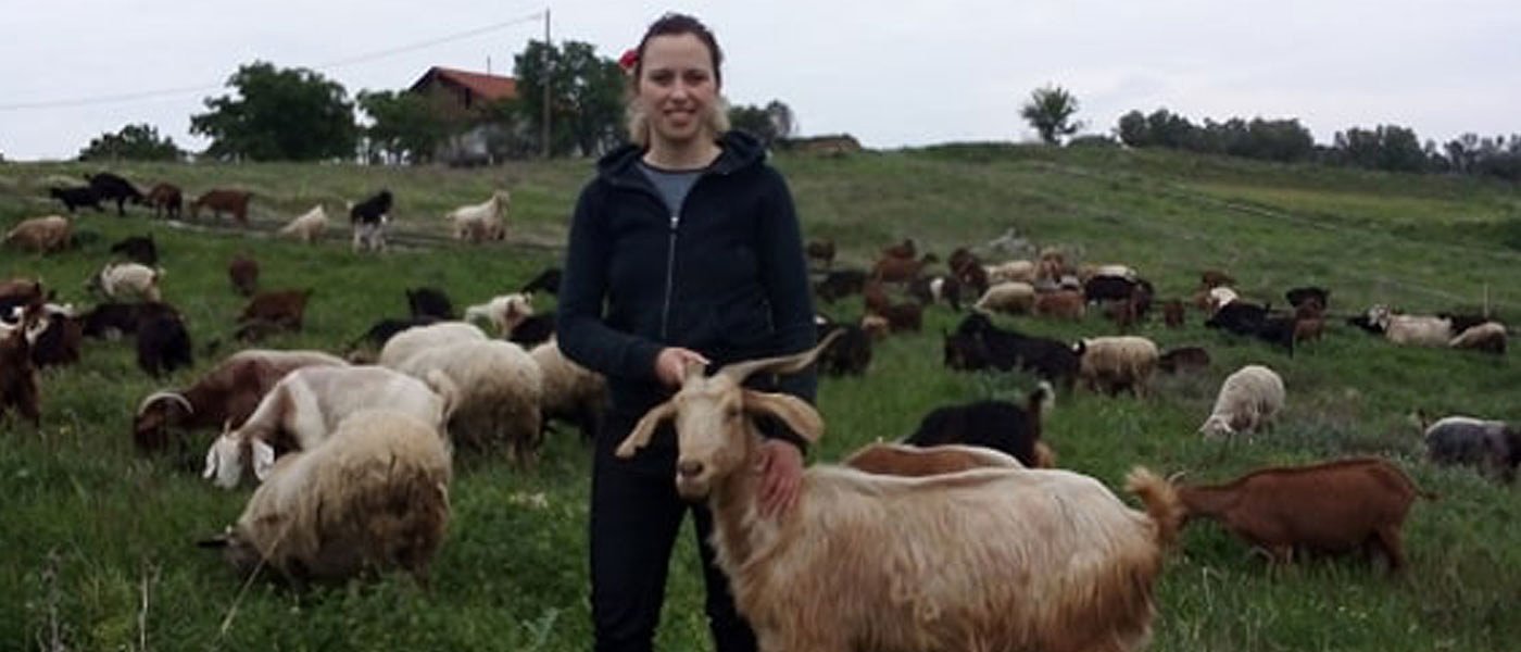 Κτηνοτρόφοι: Αναστέλλουν τη διαμαρτυρία στην ΑΜ-Θ, καλούν σε συνέλευση στον Τύρναβο οι Θεσσαλοί