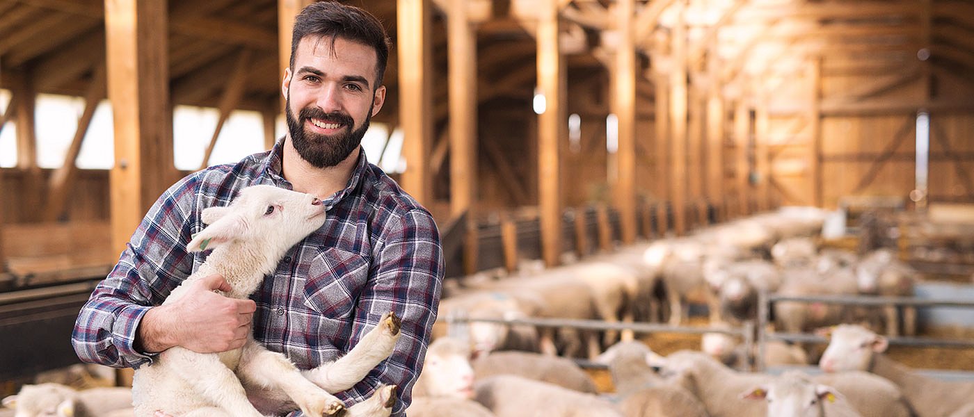 Πράσινο φως από Κομισιόν για ενισχύσεις, έως 50.000 ευρώ, σε κτηνοτρόφους λόγω ευλογιάς αλλά θα πληρώσει το ΥπΑΑΤ;