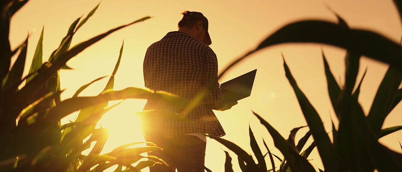 Διορθώσεις στην ΑΑΔΕ για αγροτεμάχια έως 20 στρέμματα που δεν πληρώθηκαν, νομοθετική ρύθμιση για να λυθούν τα ιδιοκτησιακά