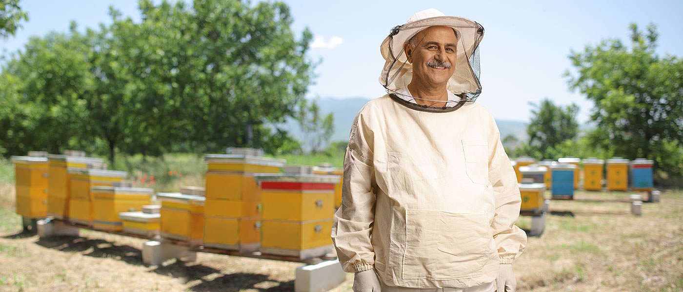 Καθορίστηκε το ύψος οικονομικής ενίσχυσης στην μελισσοκομία των Μικρών Νησιών Αιγαίου Πελάγους για το 2025
