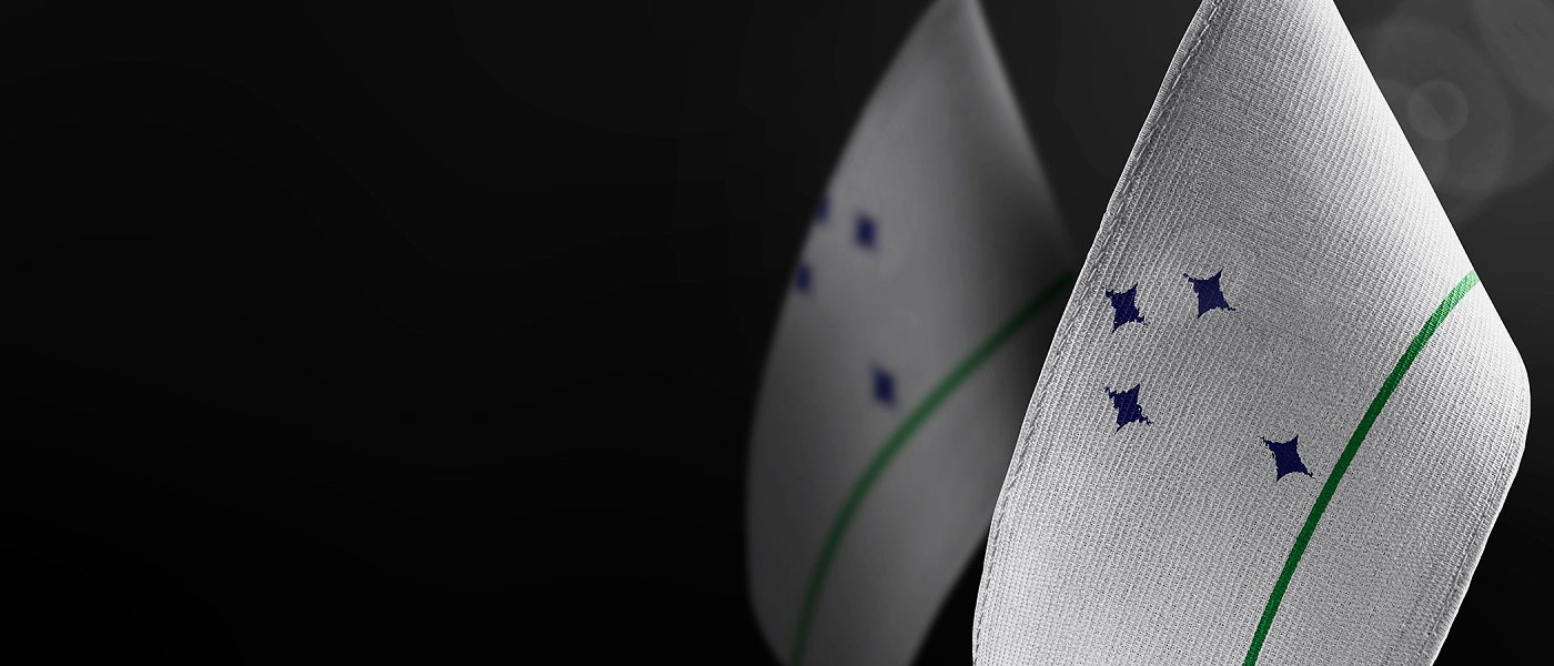 Αγροτική κινητοποίηση στο Στρασβούργο ενόψει ψηφοφορίας στο Ευρωπαϊκό Κοινοβούλιο για τη συμφωνία ΕΕ–Mercosur