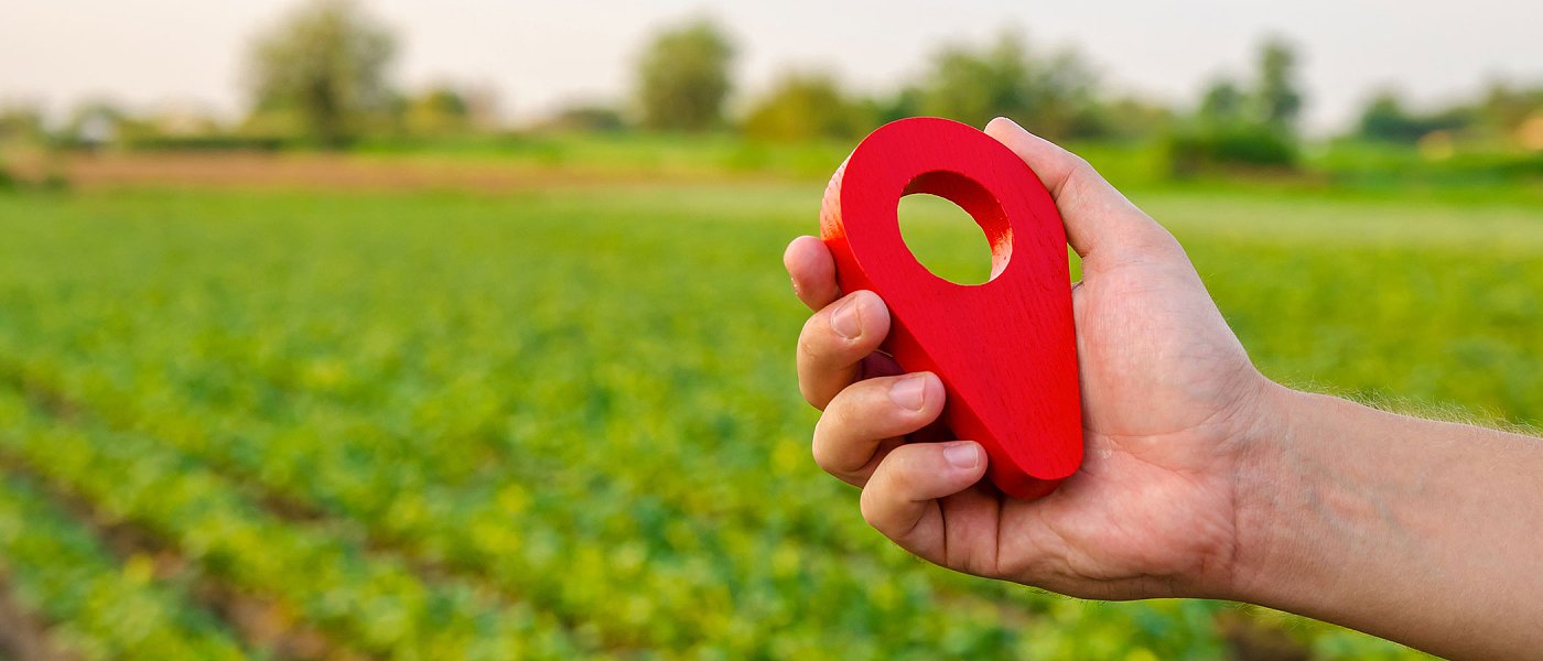 15 ημέρες δίνει η ΑΑΔΕ περιθώριο για διορθώσεις σε ενοικιαστήρια αλλιώς έρχονται ποινές, απλήρωτα παραμένουν τα δασικά